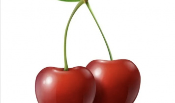 МОРС "ВИШНЯ" МОРС "ВИШНЯ"